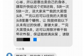 西双版纳债务清欠服务